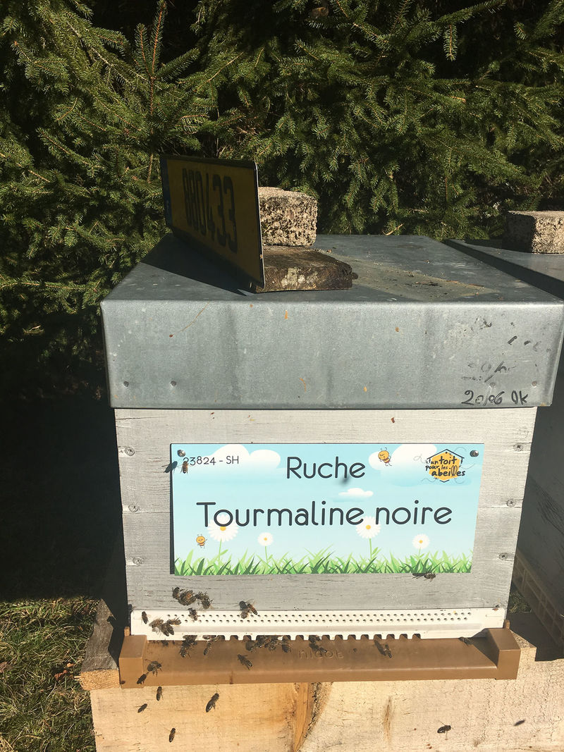 La ruche Tourmaline noire