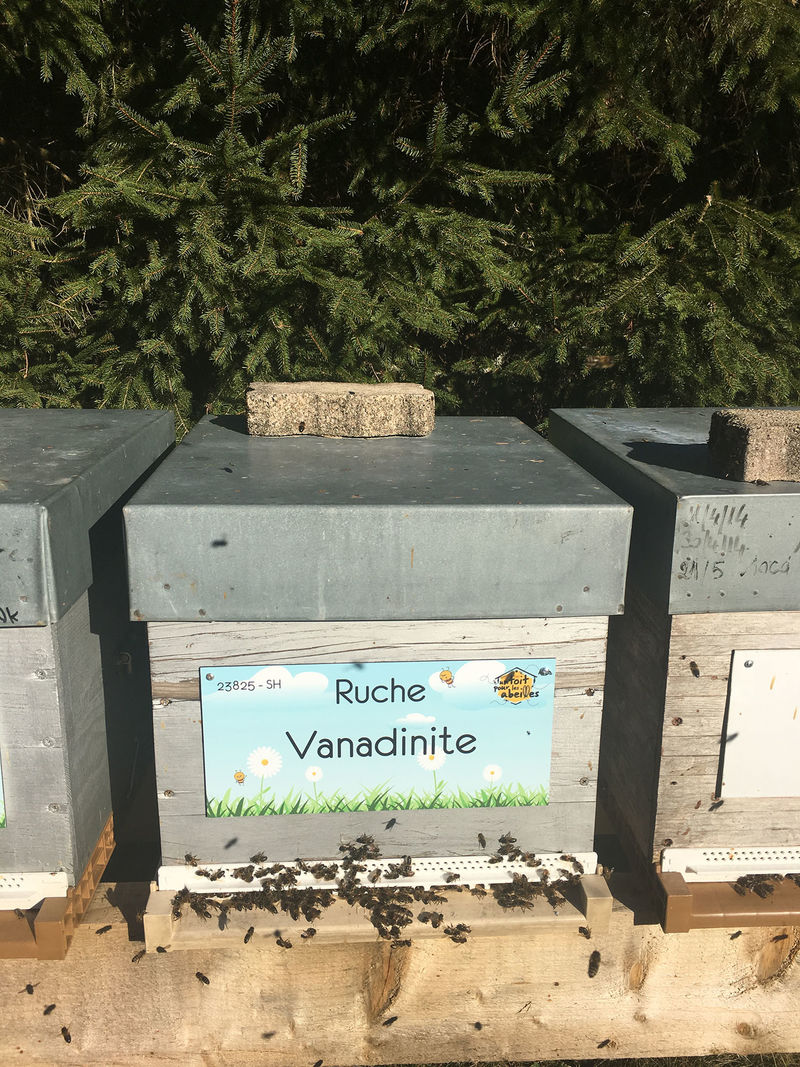 La ruche Vanadinite