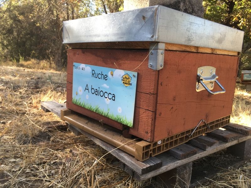 La ruche A baiocca