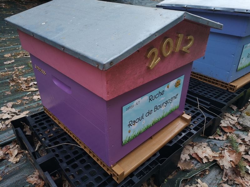 La ruche Raoul de Bourgogne