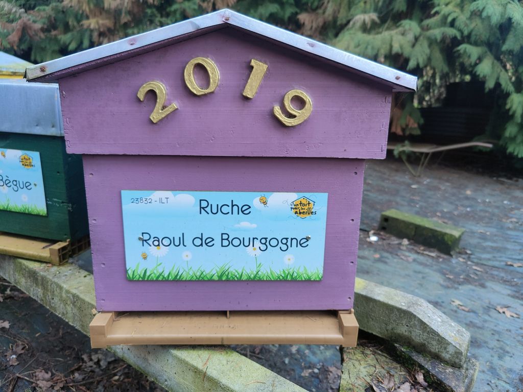 La ruche Raoul de Bourgogne