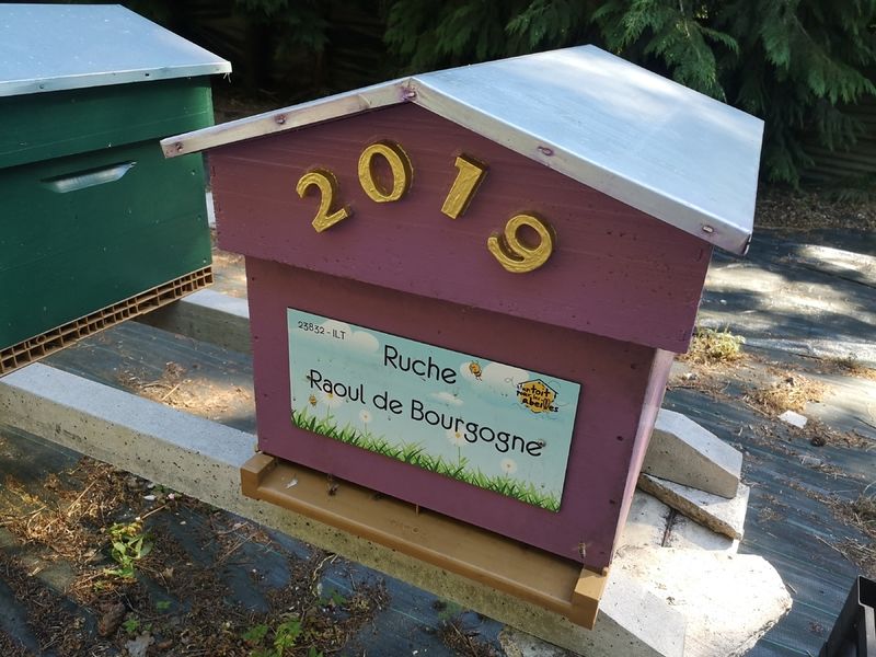 La ruche Raoul de Bourgogne