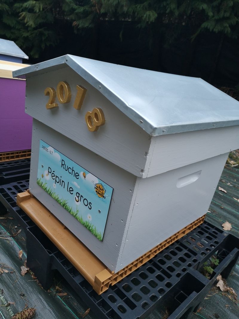 La ruche Pépin le gros