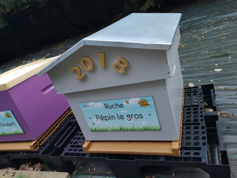 La ruche Pépin le gros