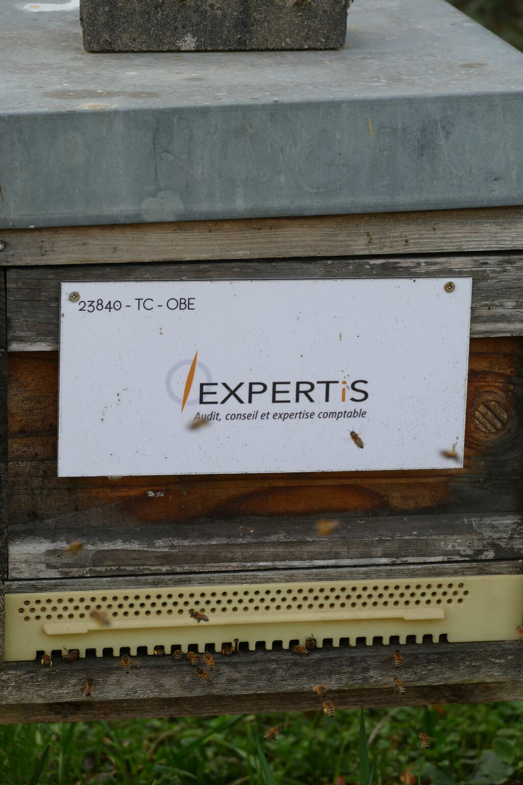 La ruche EXPERTIS AUDIT & CONSEILS