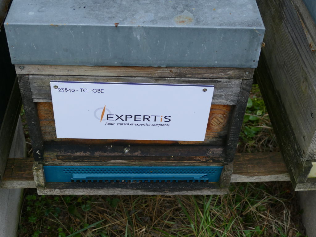La ruche EXPERTIS AUDIT & CONSEILS