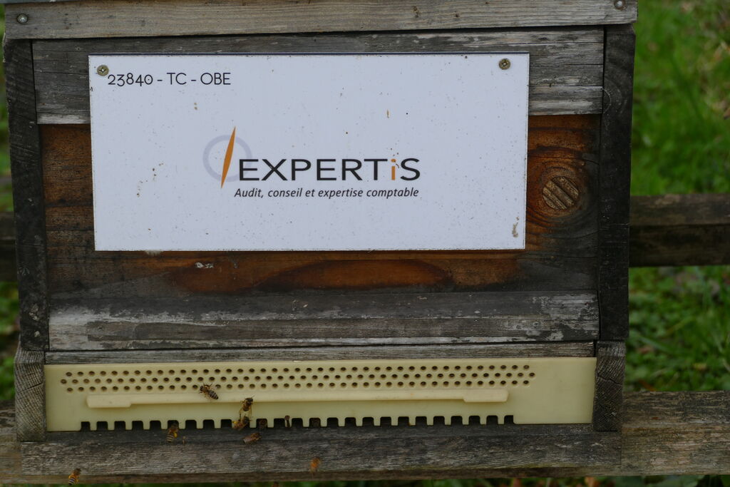 La ruche EXPERTIS AUDIT & CONSEILS