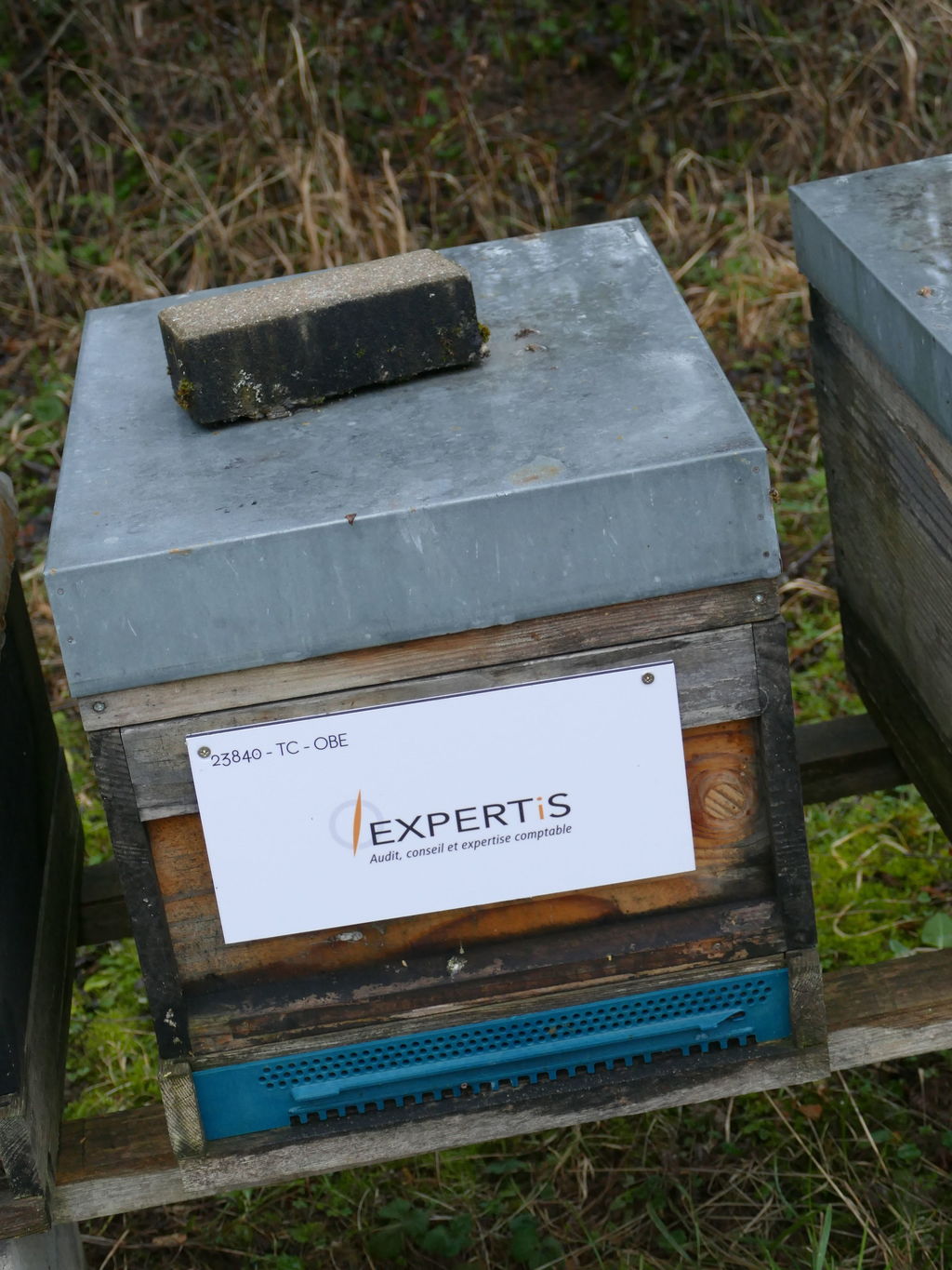 La ruche EXPERTIS AUDIT & CONSEILS