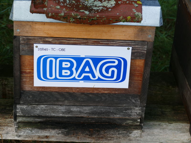 La ruche IBAG HSC TECHNOLOGY