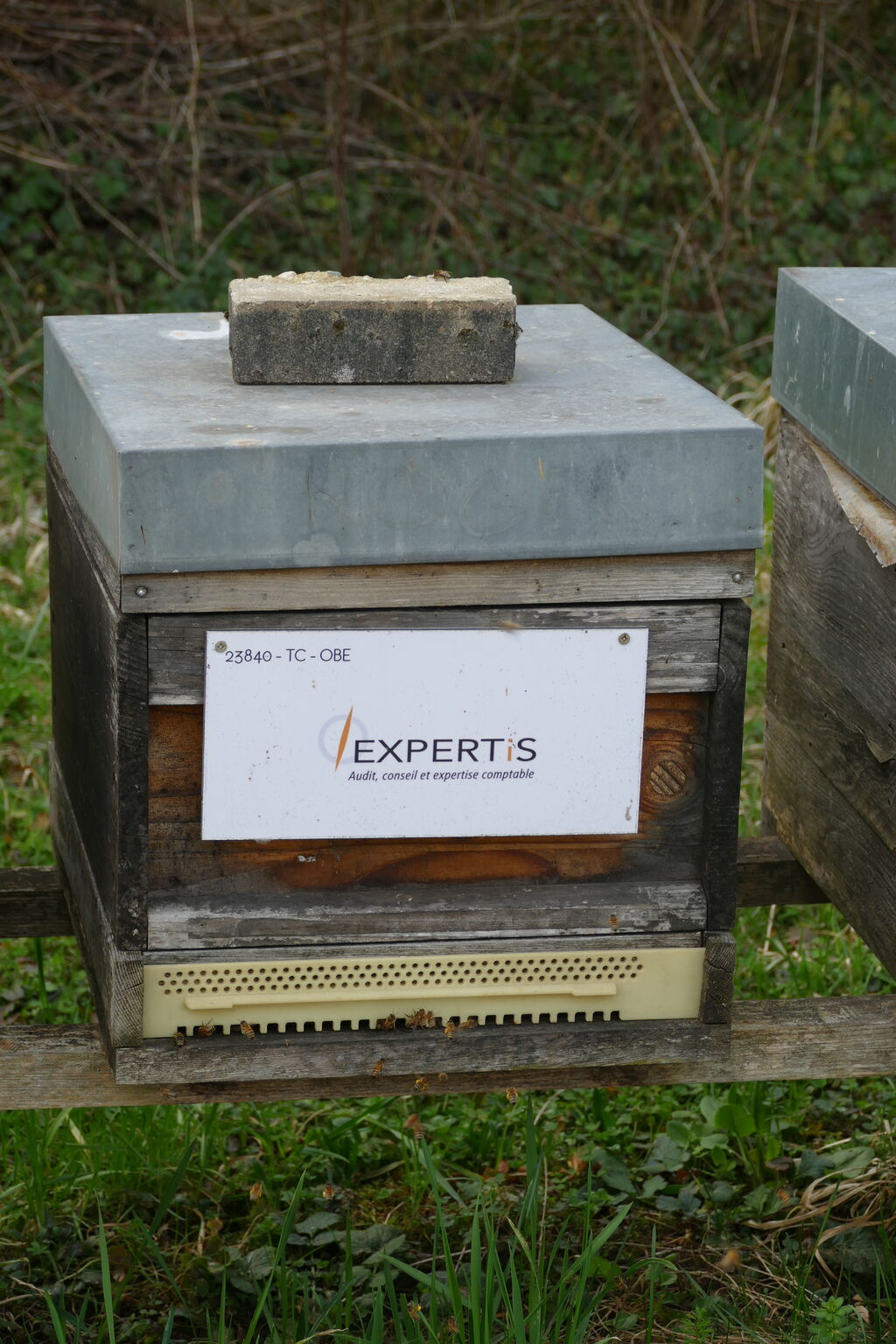 La ruche EXPERTIS AUDIT & CONSEILS