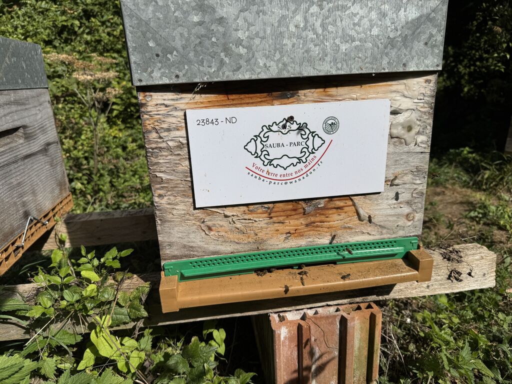 La ruche SAUBA-PARC