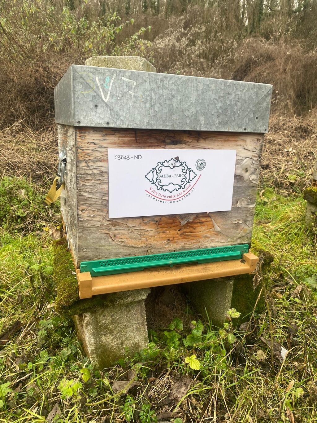 La ruche SAUBA-PARC