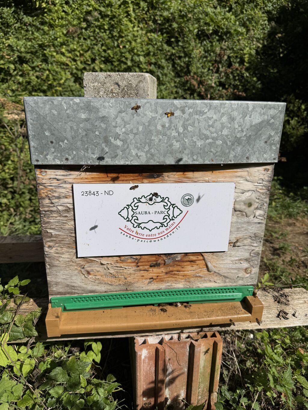 La ruche SAUBA-PARC