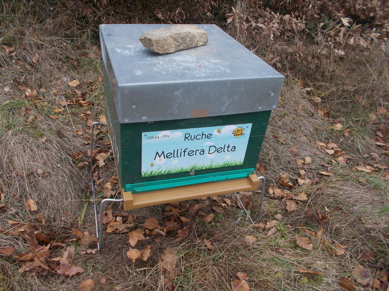 La ruche Mellifera Delta
