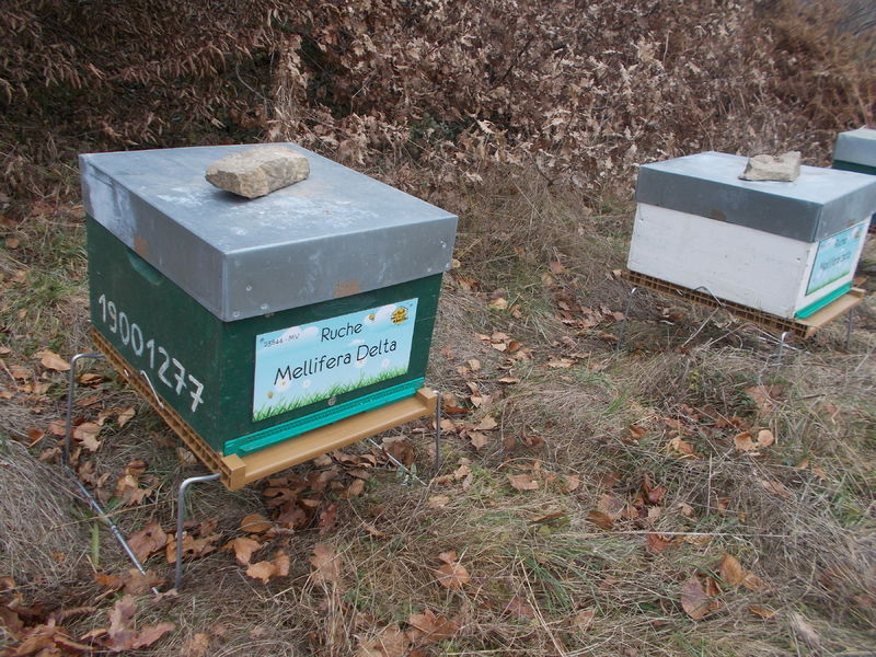 La ruche Mellifera Delta