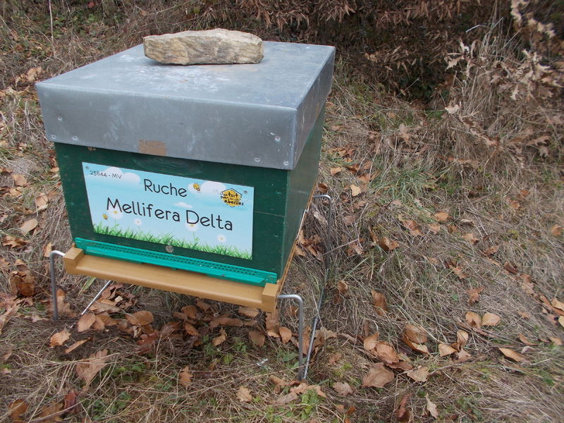La ruche Mellifera Delta