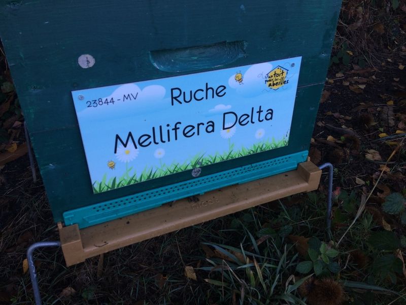 La ruche Mellifera Delta