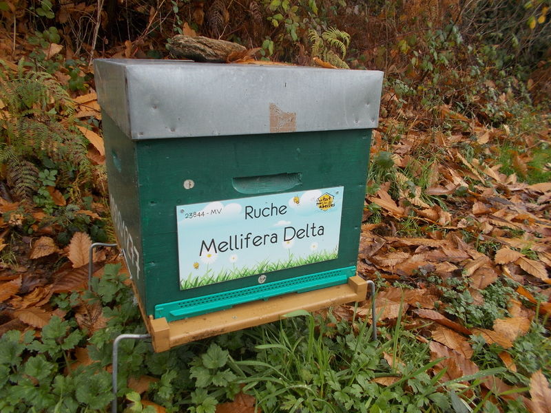 La ruche Mellifera Delta