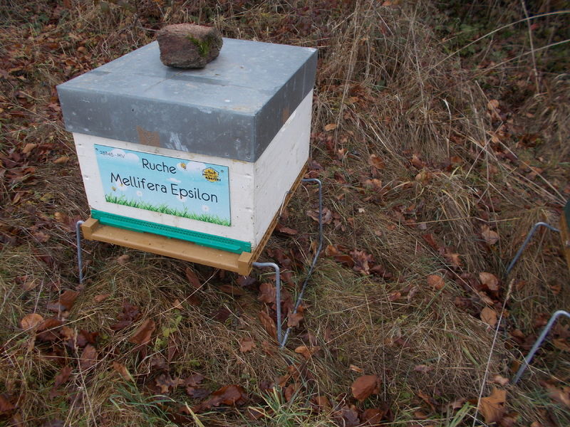 La ruche Mellifera Epsilon
