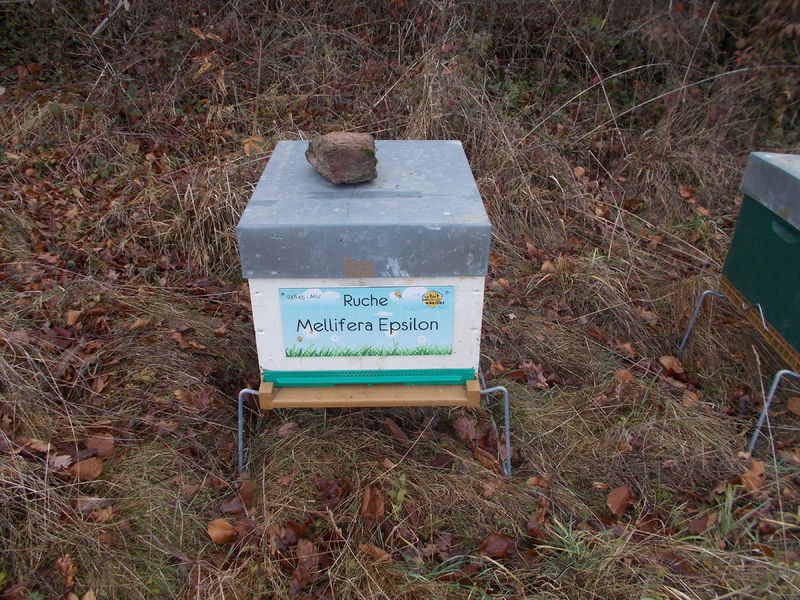 La ruche Mellifera Epsilon
