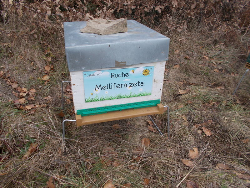 La ruche Mellifera zeta