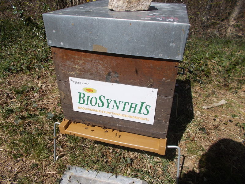 La ruche BIOSYNTHIS