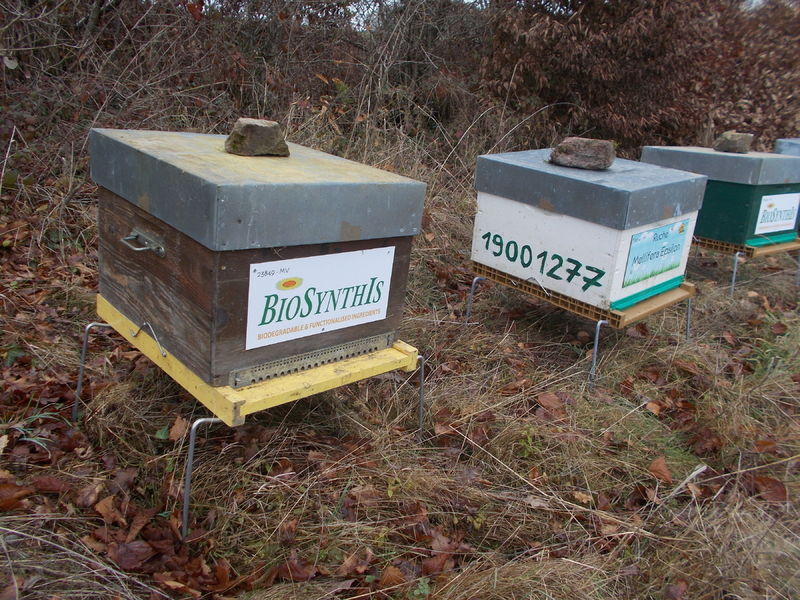 La ruche BIOSYNTHIS