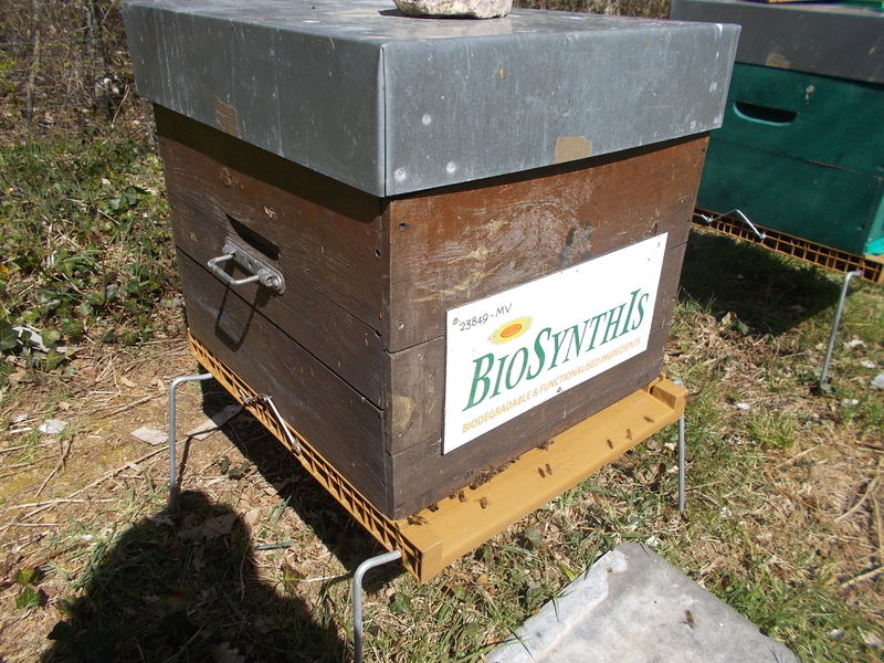 La ruche BIOSYNTHIS