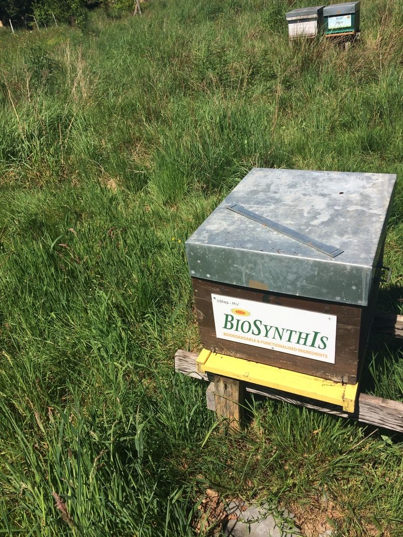 La ruche BIOSYNTHIS