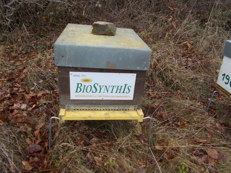 La ruche BIOSYNTHIS