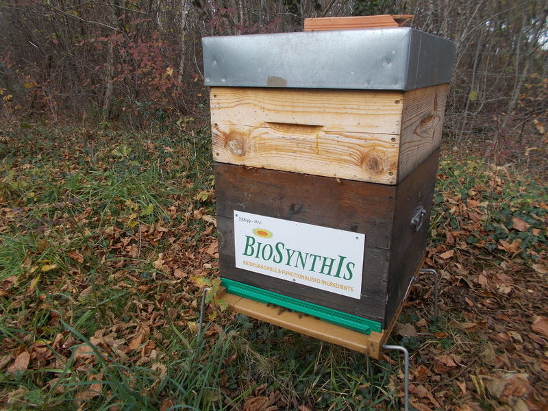 La ruche BIOSYNTHIS