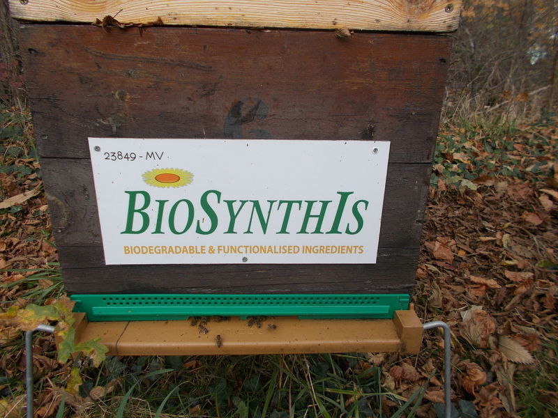 La ruche BIOSYNTHIS