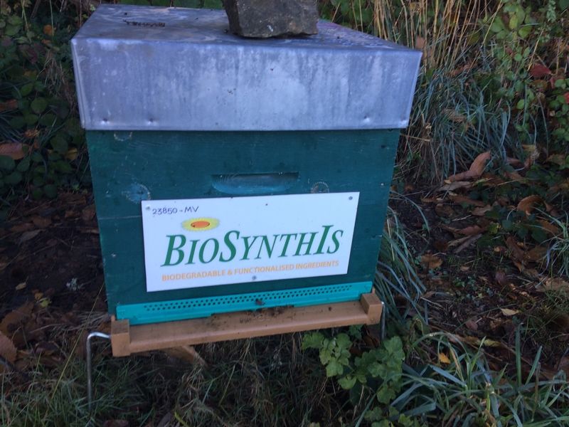 La ruche BIOSYNTHIS