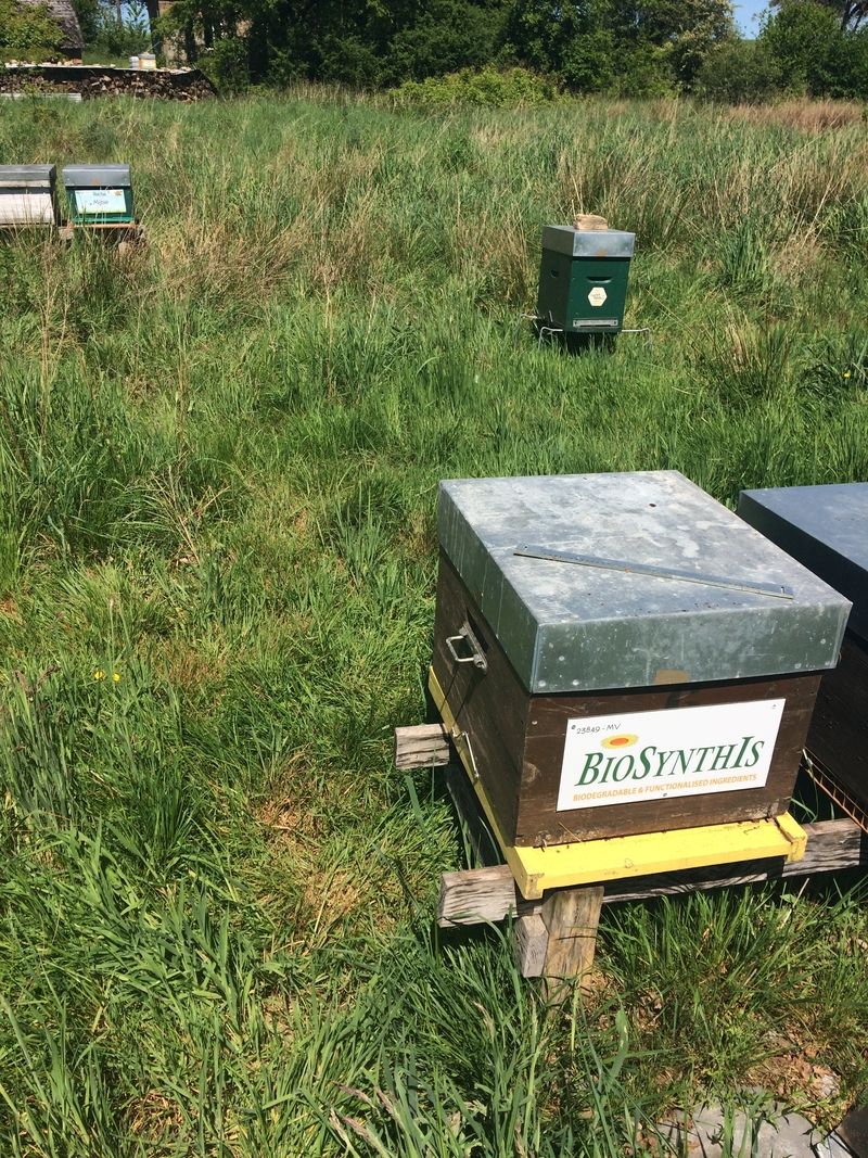 La ruche BIOSYNTHIS