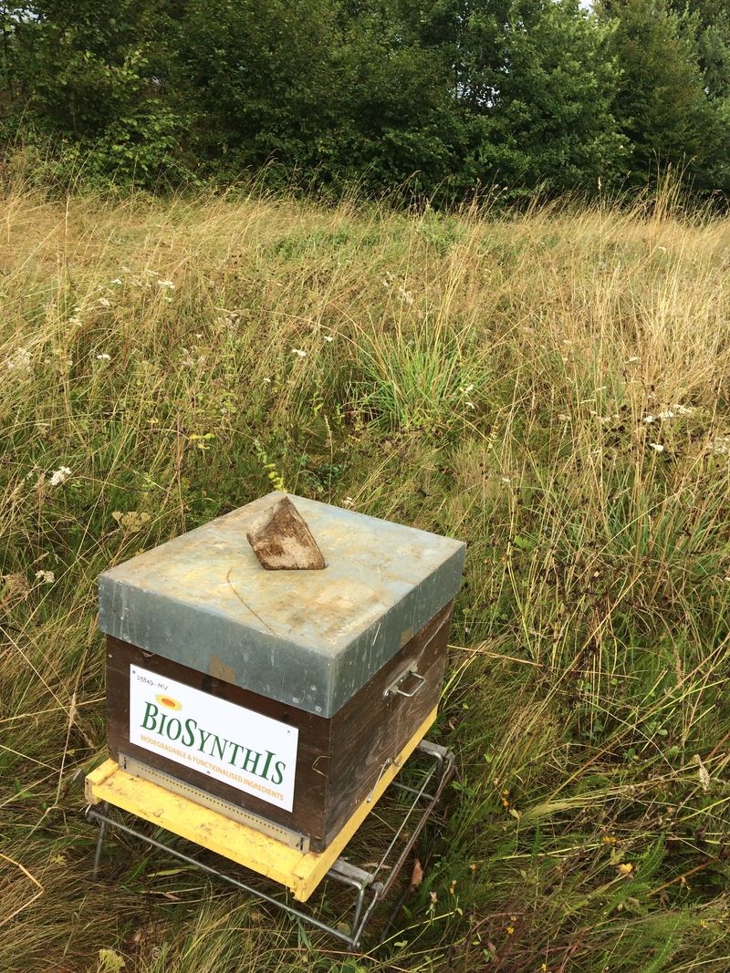 La ruche BIOSYNTHIS