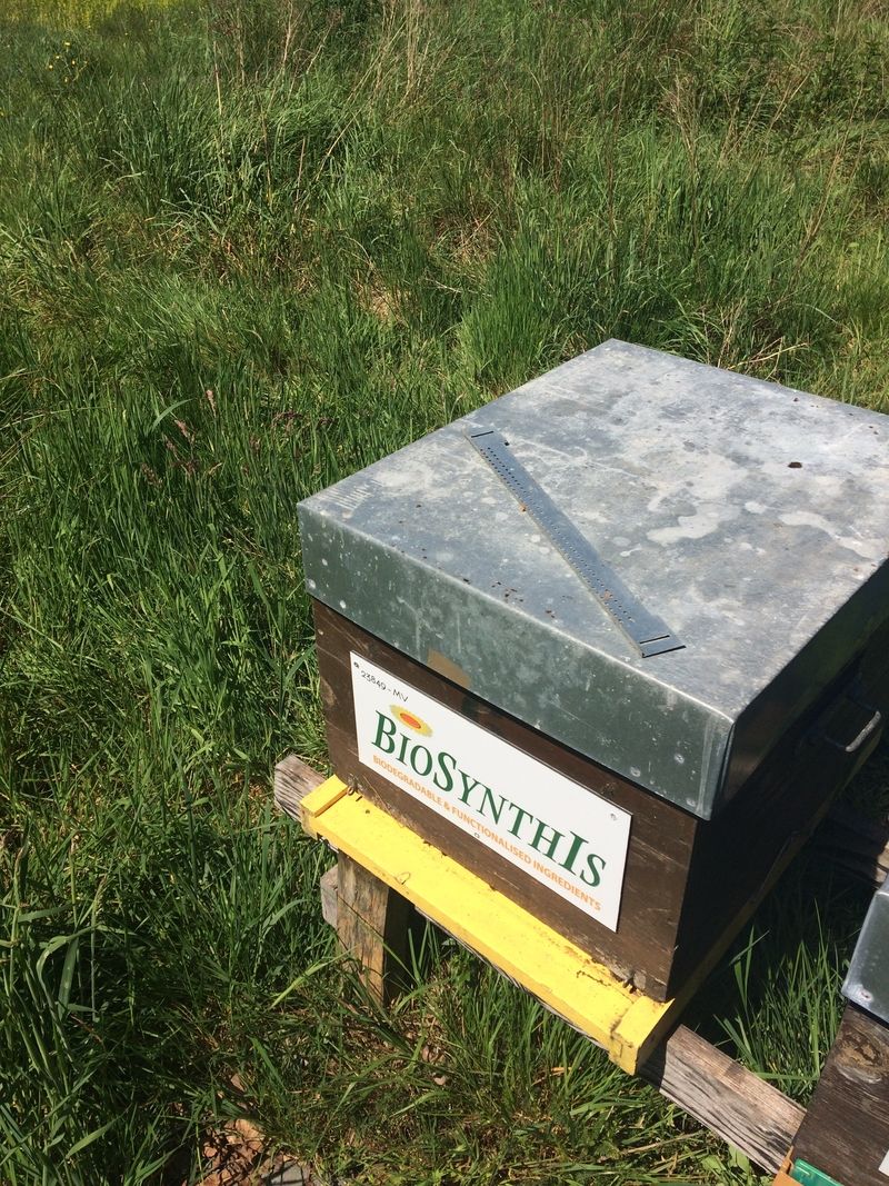 La ruche BIOSYNTHIS