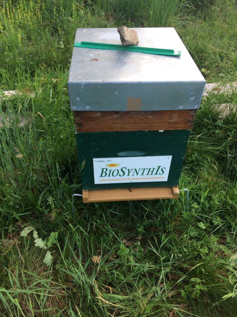 La ruche BIOSYNTHIS