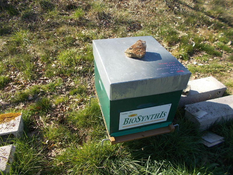 La ruche BIOSYNTHIS