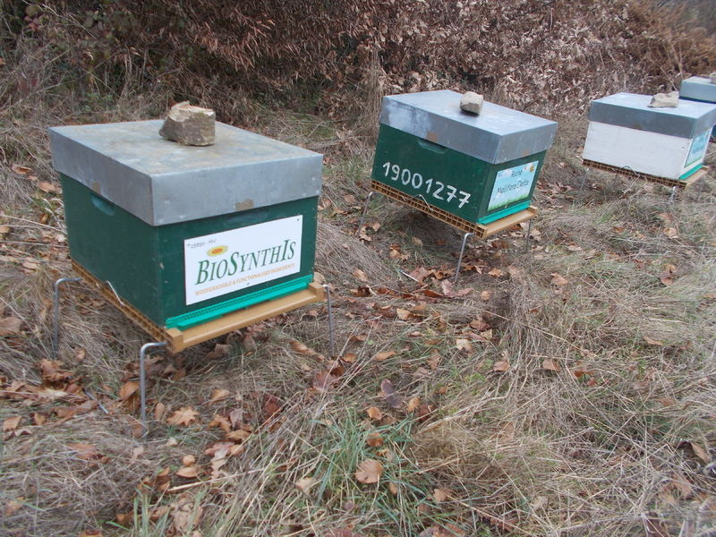 La ruche BIOSYNTHIS