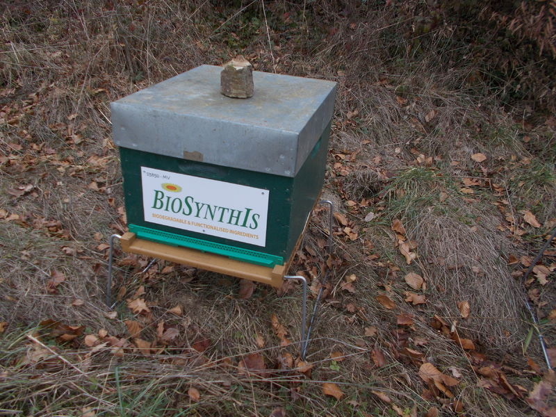 La ruche BIOSYNTHIS