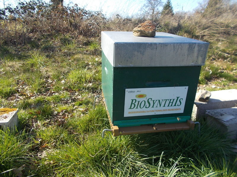 La ruche BIOSYNTHIS