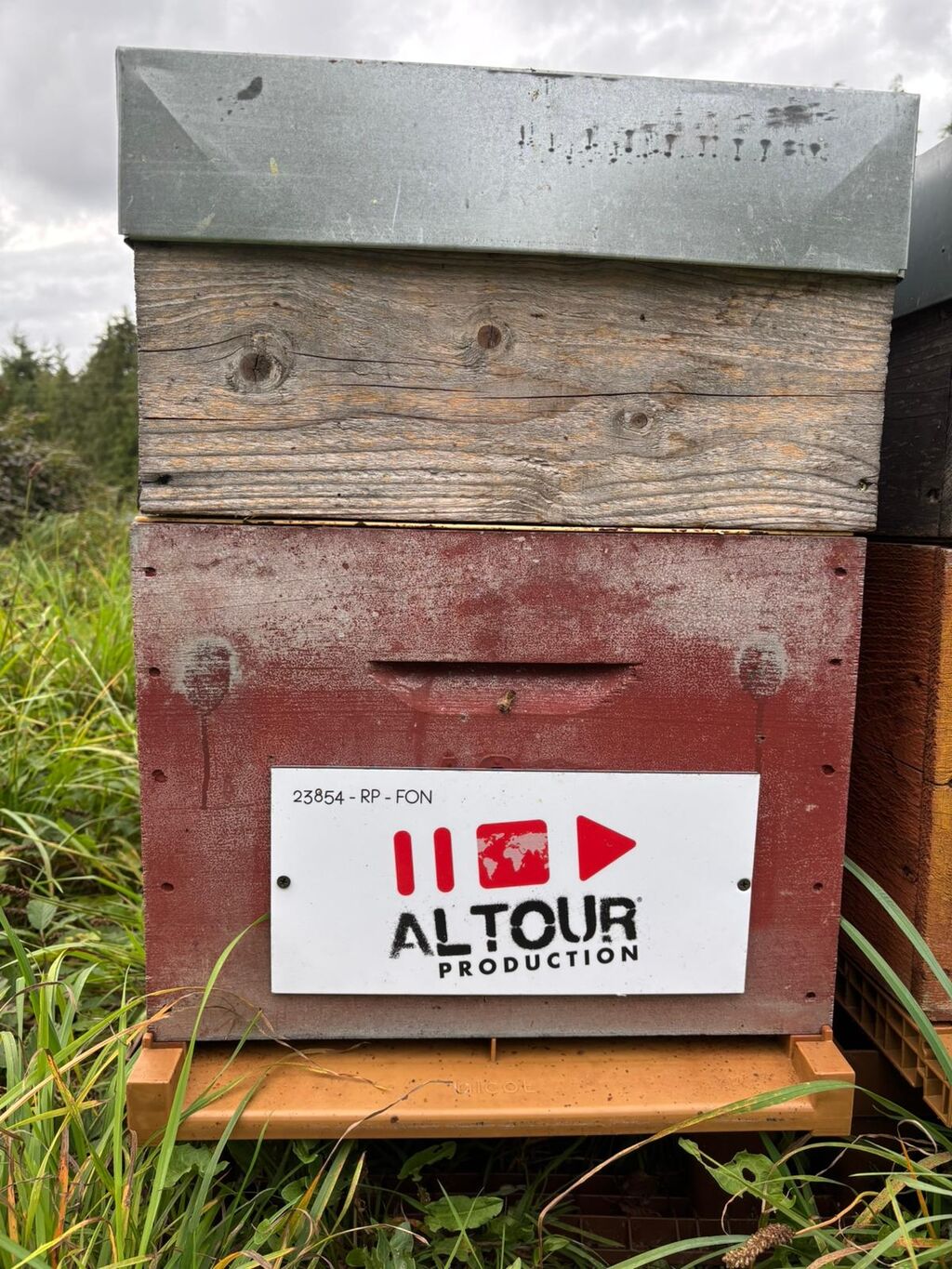 La ruche ALTOUR PRODUCTION