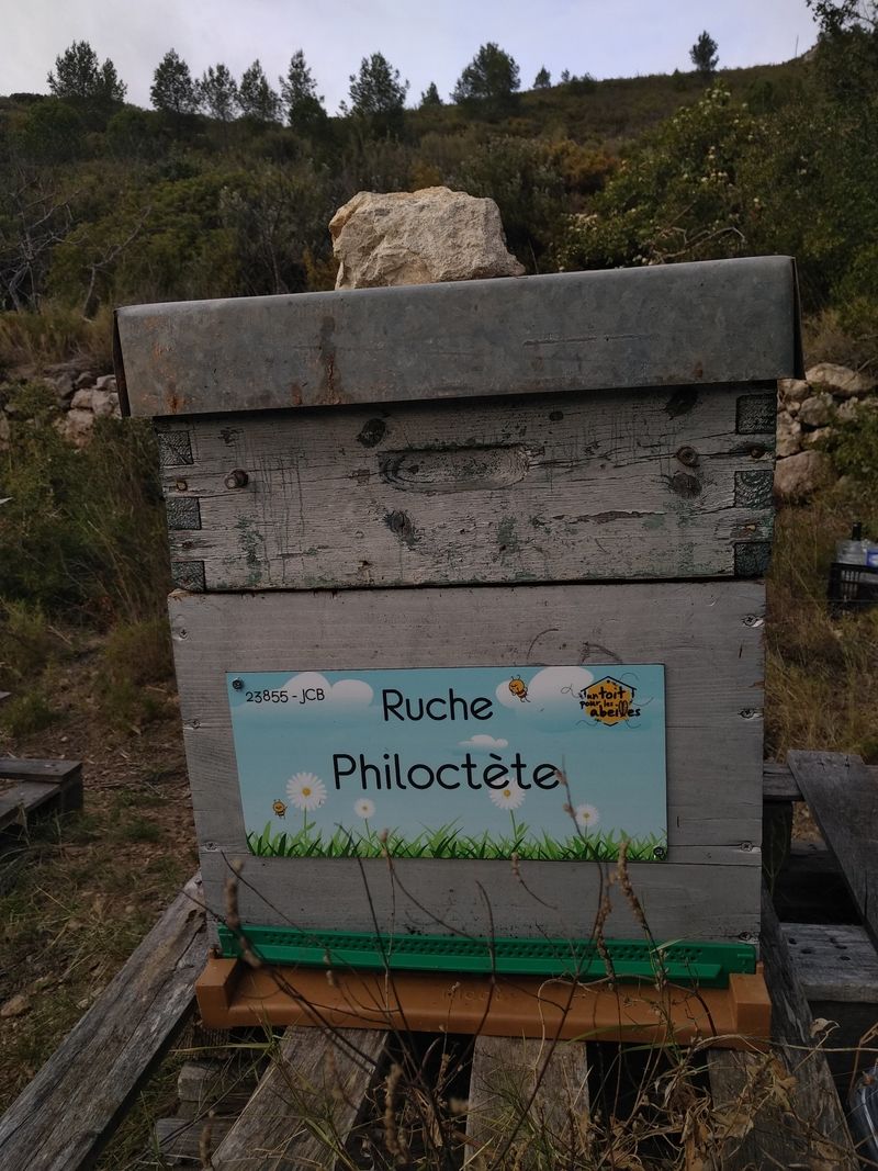 La ruche