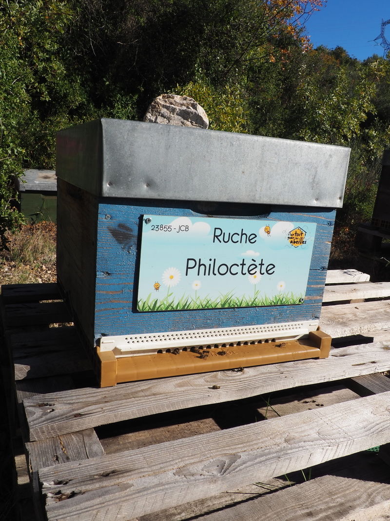 La ruche Philoctète
