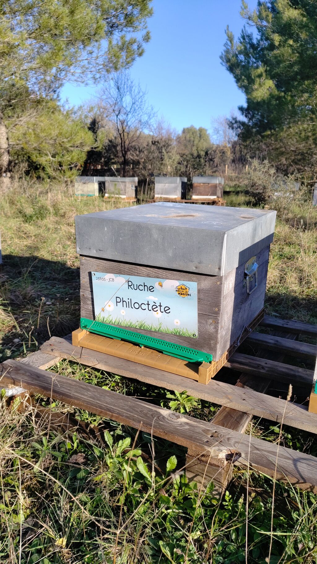 La ruche Philoctète