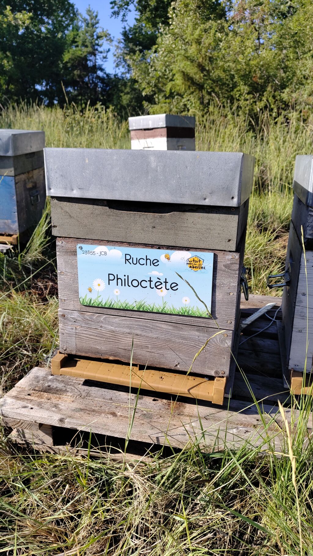 La ruche Philoctète