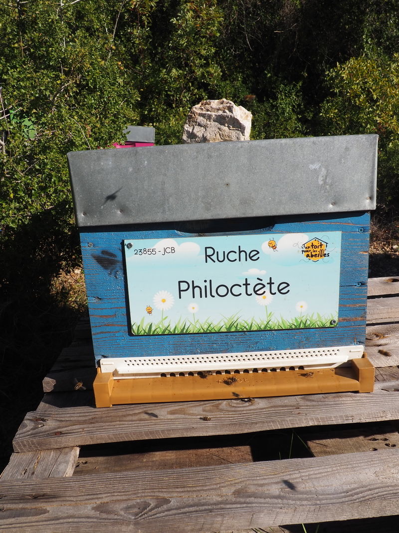 La ruche Philoctète