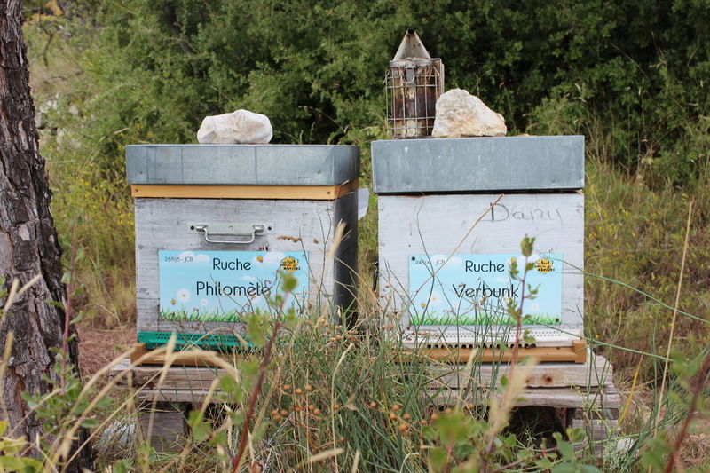 La ruche Philomèle