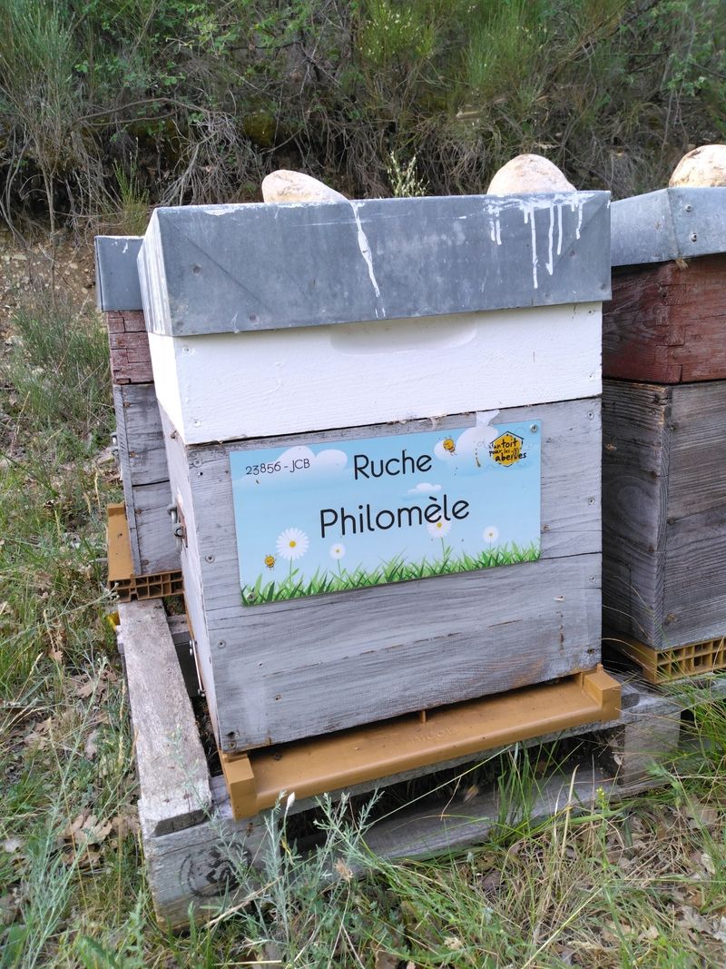 La ruche Philomèle