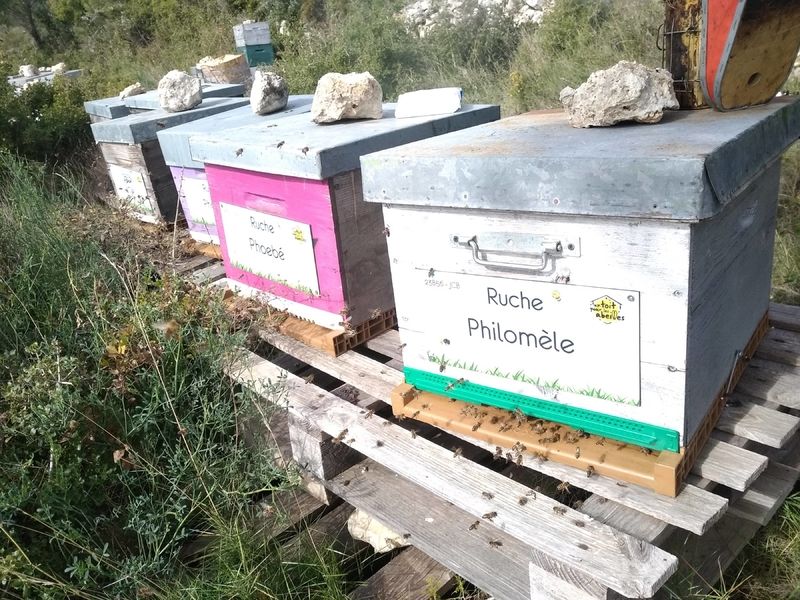 La ruche Philomèle